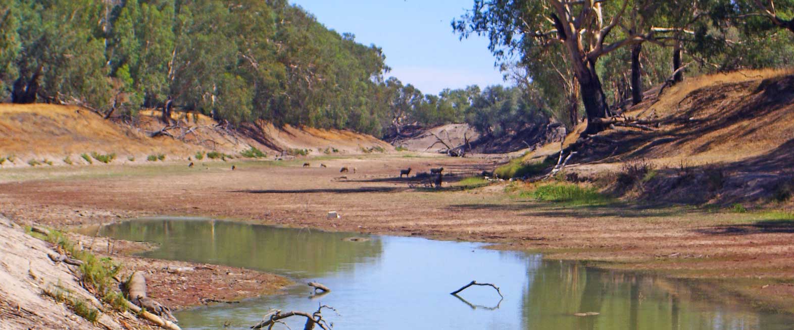 Environment Victoria | ADD YOUR NAME: Save the Darling