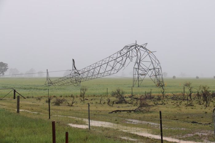 Power lines blown over during an extreme storm caused South Australia's blackout.