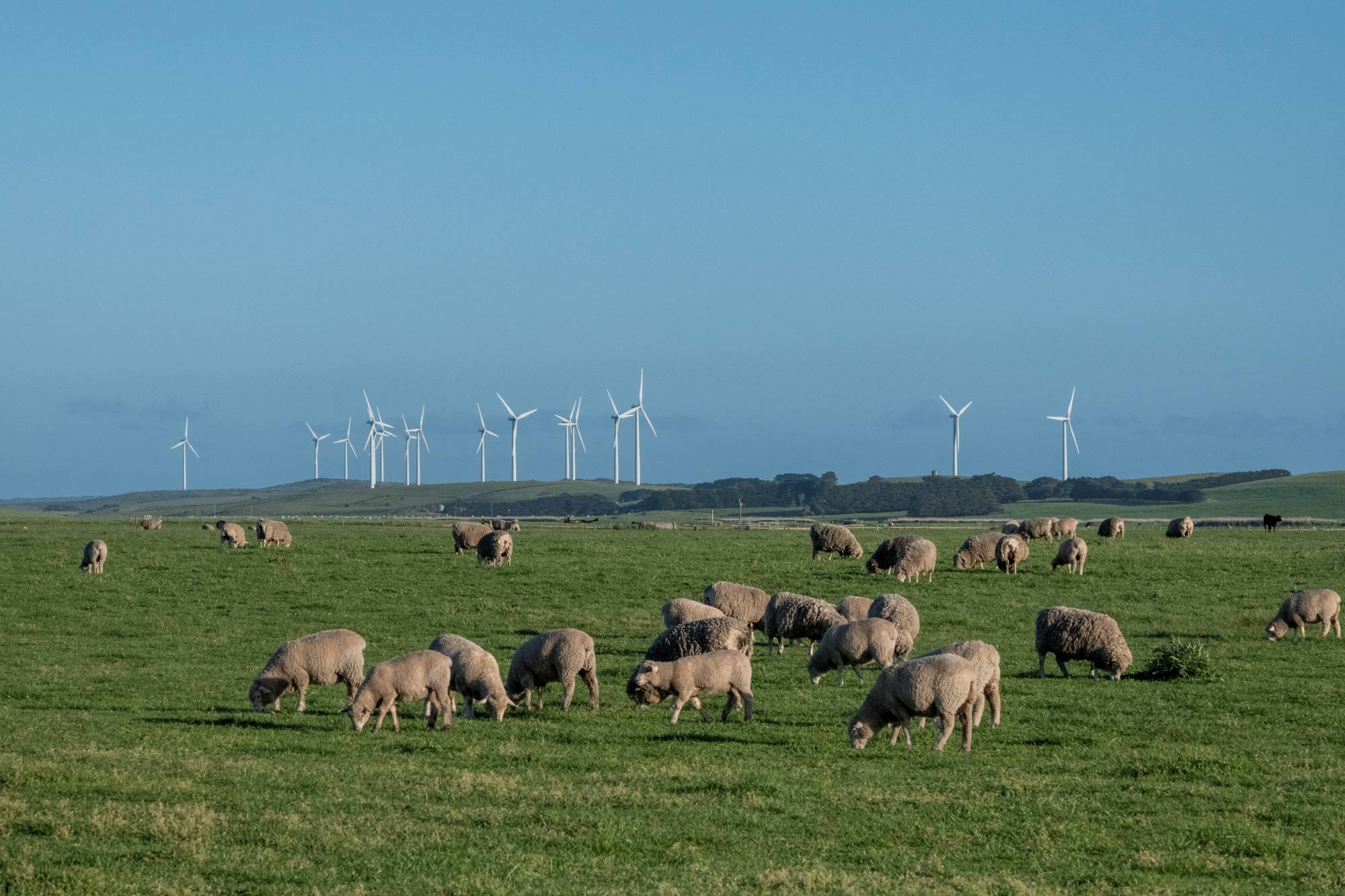 Environmental Justice Environment Victoria
